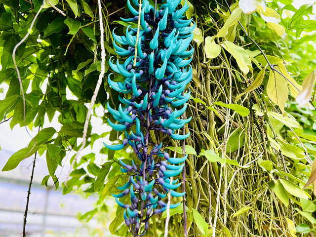 Escape to Nature’s Wonderland! 