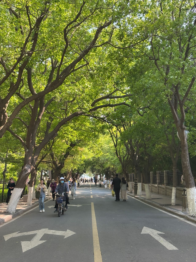 🇨🇳 칭다오 2박 3일 여행기 ✈️ 