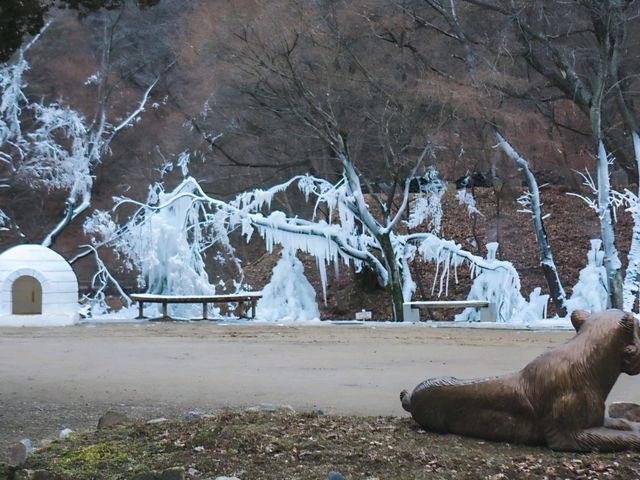 [공주] 산채정식으로 든든히 채우고, 마곡사 한 바퀴