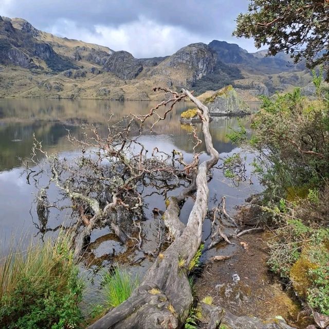 Exploring the Wild Beauty of El Cajas National Park
