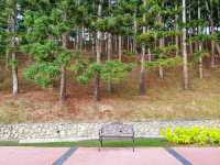 Rise & Shine at Taman Saujana Hijau: Where Joggers Meet Oxygen and Selfies!