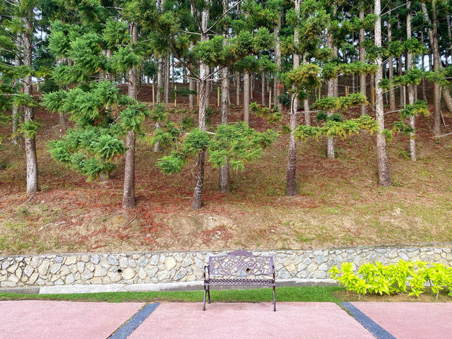 Rise & Shine at Taman Saujana Hijau: Where Joggers Meet Oxygen and Selfies! Rise & Shine at Taman Saujana Hijau: Where Joggers Meet Oxygen and Selfies!