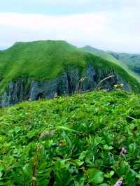 夏の礼文島で花と海と緑の絶景トレッキング