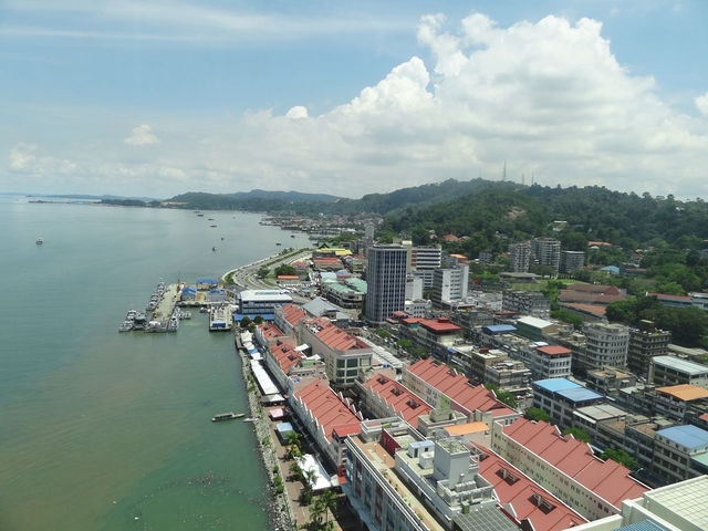 The Port of Pathos and the Rainforest of Hope