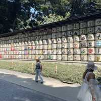 探索東京綠意：明治神宮一日遊 🌿⛩️ 