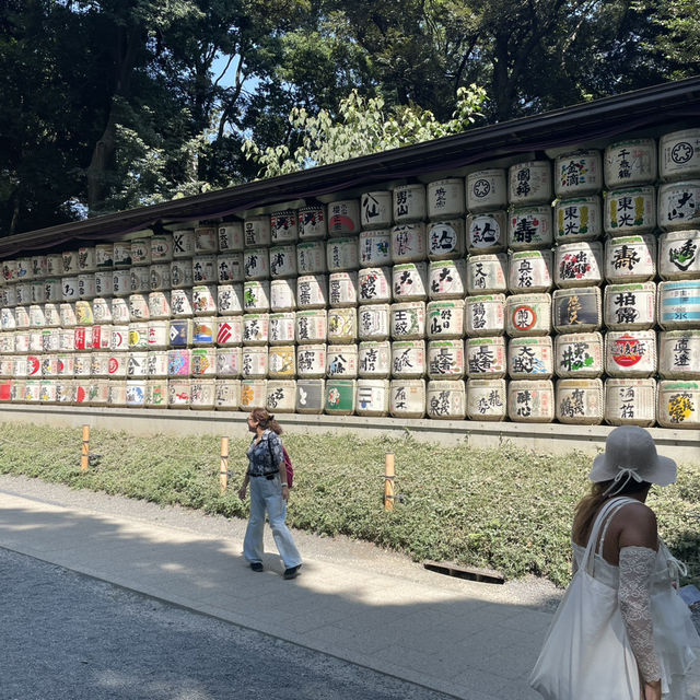 探索東京綠意：明治神宮一日遊 🌿⛩️ 