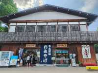 【日本城巡り】金のシャチホコ✨名古屋城