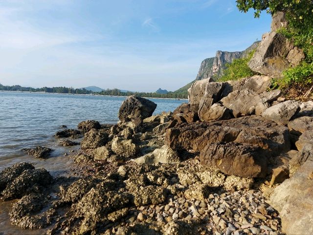 ชมวิวทะเล วนอุทยานเขาตาม่องล่าย ชมวิวทะเล วนอุทยานเขาตาม่องล่าย
