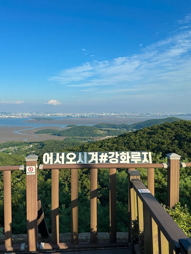 스릴감을 즐길 수 있는 강화 루지 🚗 스릴감을 즐길 수 있는 강화 루지 🚗