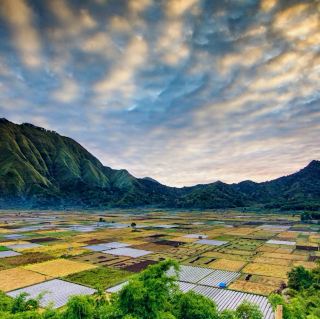 Lombok Island