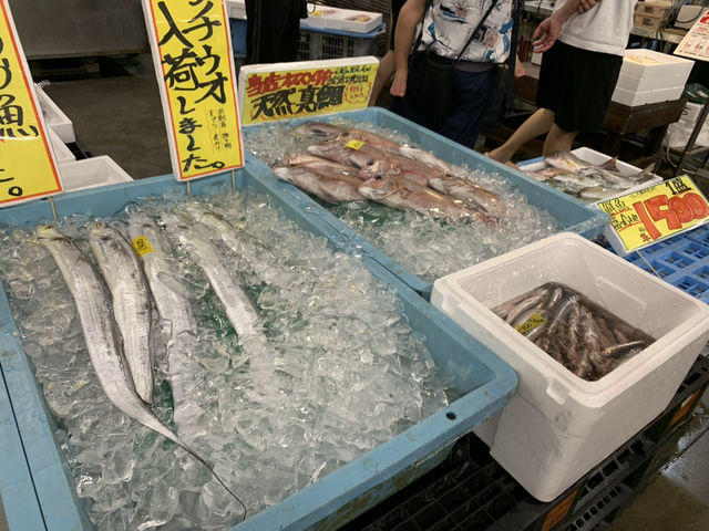 日本ToreTore市場南紀白浜