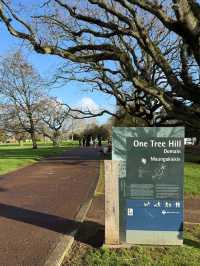 Cornwall Park & One Tree Hill: Auckland’s Green Heart
