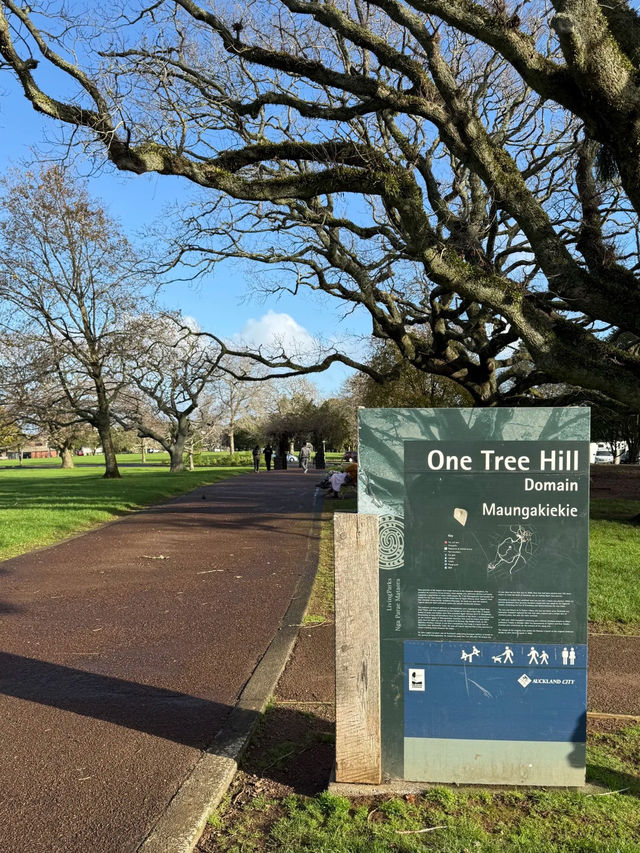 Cornwall Park & One Tree Hill: Auckland’s Green Heart