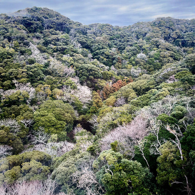 ☆鋸山ロープウェー☆IN千葉県