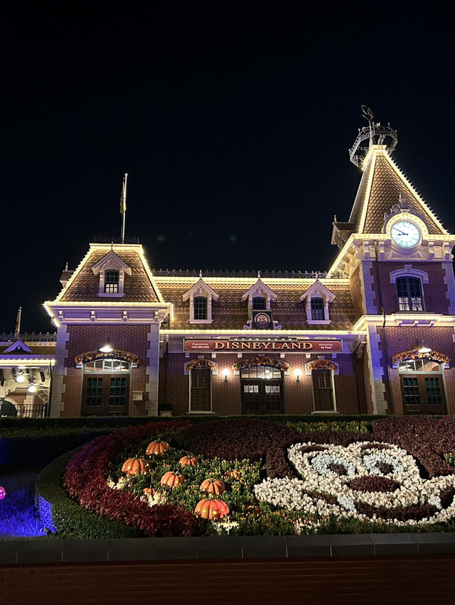 Hong Kong Disneyland 🏰