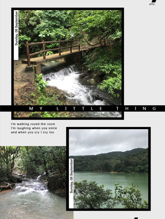 雨中水塘靜謐漫步體驗🌧  