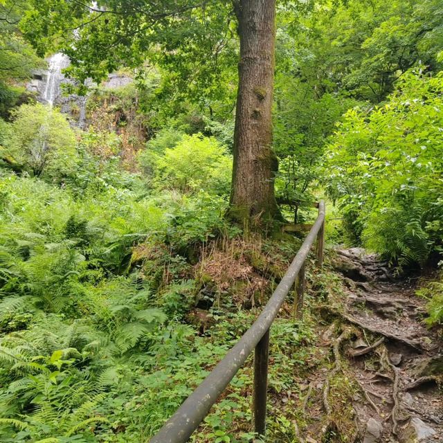 Discover Natural Wonder at Canonteign Falls