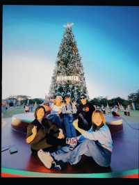 MIDWINTER 🎅🧑‍🎄