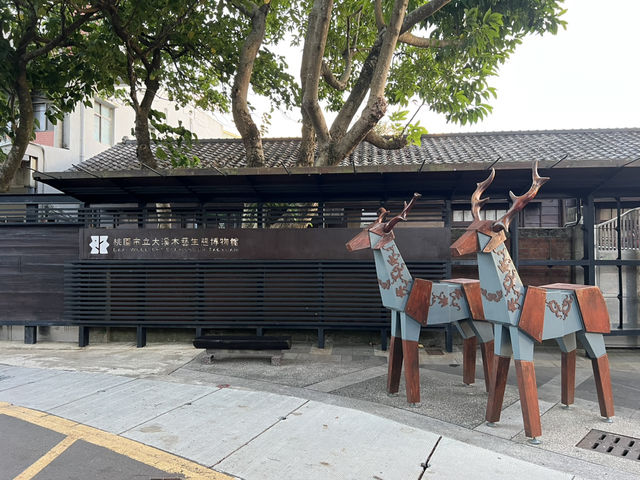 桃園大溪半日遊推薦 中正公園 大溪木藝生態博物館