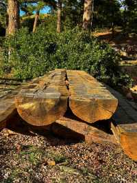 🤠 Flying W Ranch – Cowboy Spirit & Western Fun