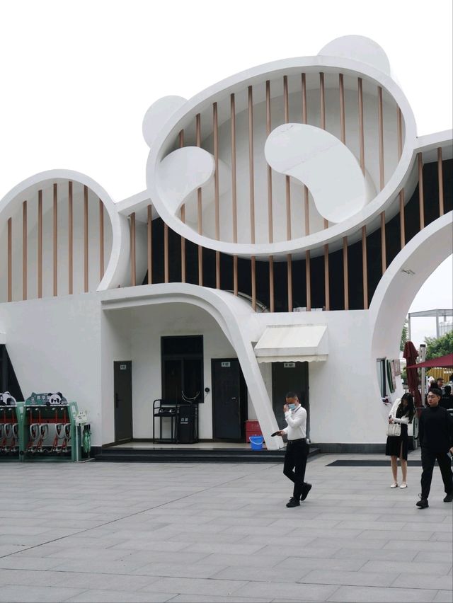 🐼 : Chengdu Research Base of Giant Panda เฉิงตู 🐼 : Chengdu Research Base of Giant Panda เฉิงตู