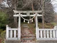 秋日金黃的淺間神社