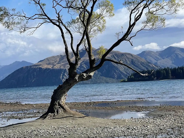 Lake Wānaka