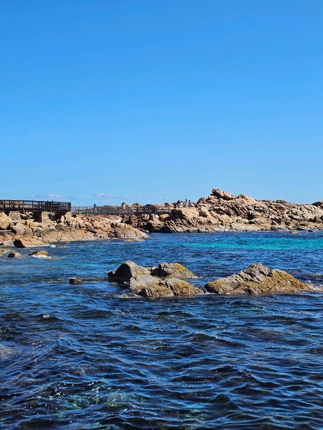 Canal Rocks: South Perth’s Most Jaw-Dropping Ocean Views 🌊✨