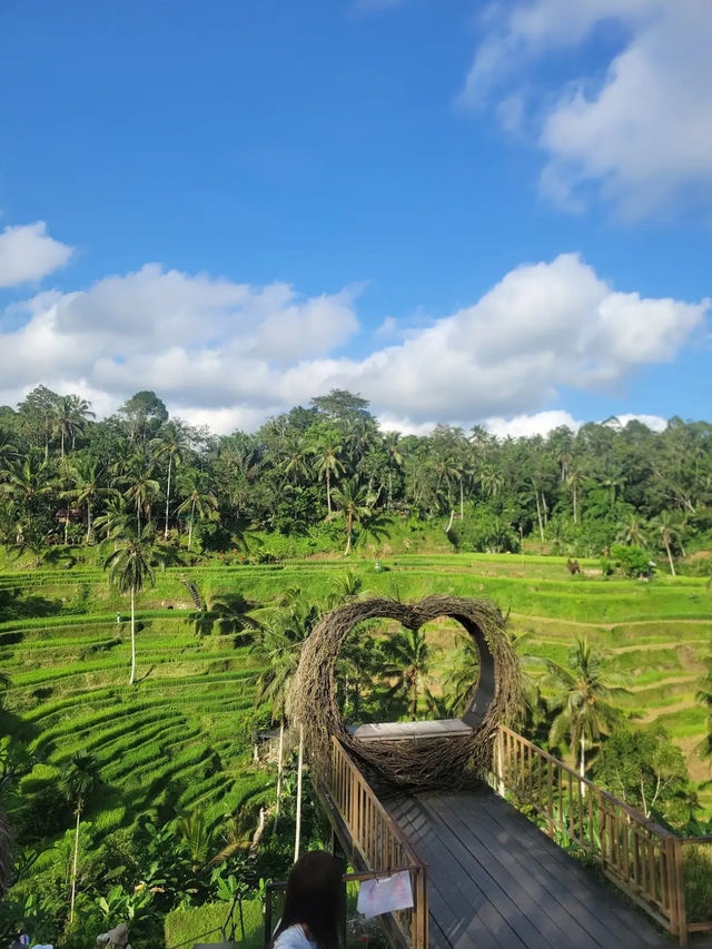 📍 뜨갈랄랑 계단식 논(Tegalalang Rice Terrace) 후기