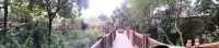 Hong Kong Park 