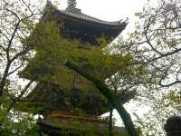 UENO PARK IN TOKYO.