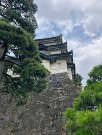 THE IMPERIAL PALACE.
