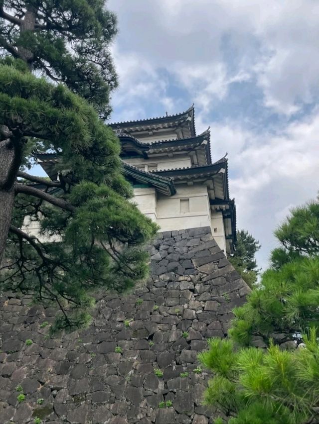 THE IMPERIAL PALACE. THE IMPERIAL PALACE.