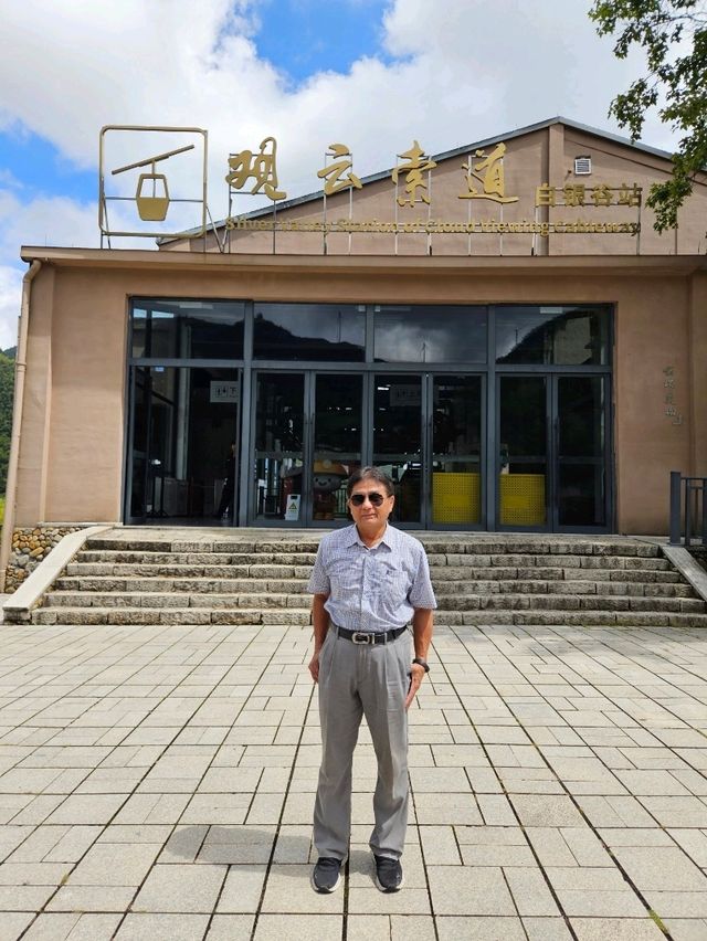 綠意盎然滿滿的云和梯田