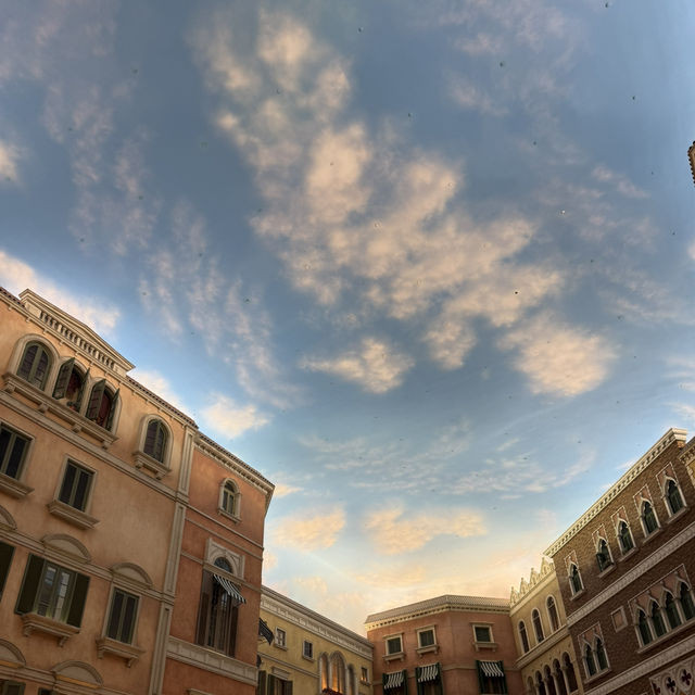Planning a wild day in Macau Taipa? 