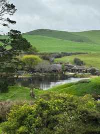 Stepping Into Middle-earth at Hobbiton