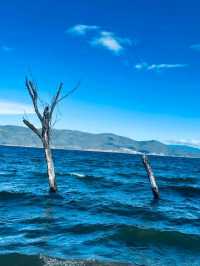 Beneath the Clouds: A Journey Around Erhai Lake