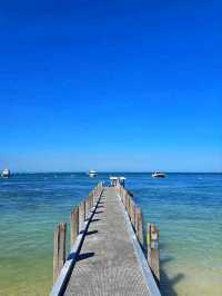 🏝️ Rottnest Island – A Paradise of Smiles and Sea Breezes