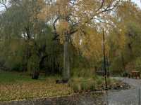 Royal Botanic Garden Edinburgh