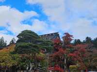 紅葉の定番🍁日本の有名観光スポット