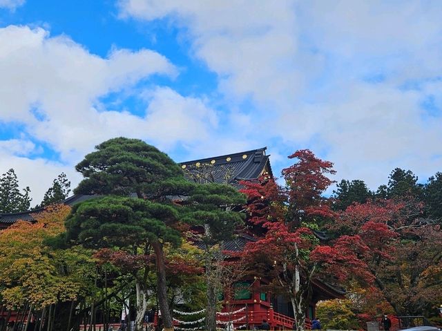 紅葉の定番🍁日本の有名観光スポット