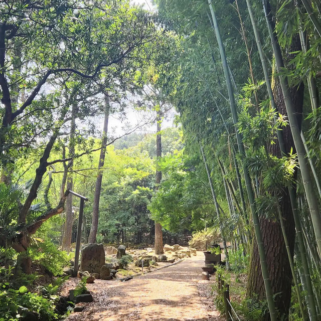 Halla Arboretum, Jeju Island,S.Korea