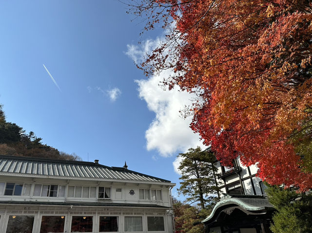 【秋の日光】おすすめスポット