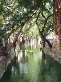 “Echoes of the Past — The Iconic Shangxiahang Canal of Fuzhou”