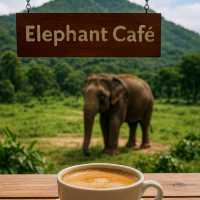 (Thai Elephant Conservation Center) – ลำปาง