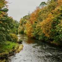 Your Solo Riverside Stroll: Six Mile Water, Antrim
