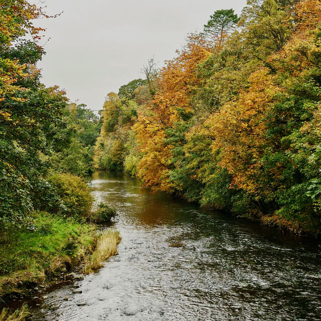 Your Solo Riverside Stroll: Six Mile Water, Antrim Your Solo Riverside Stroll: Six Mile Water, Antrim
