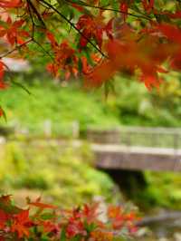 美しい6角形の塔(写経を納める塔)と紅葉の美しさ。