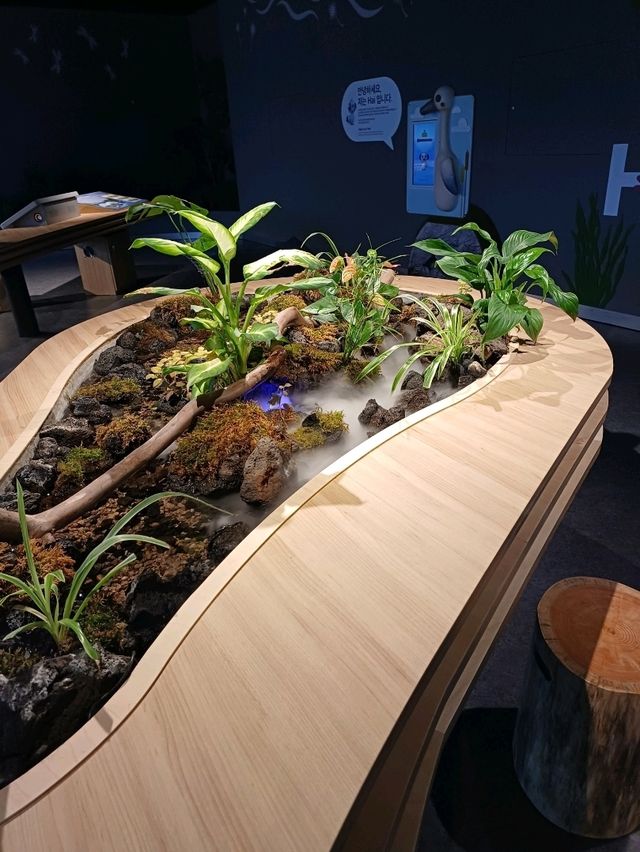 생생한 자연을 담은 디오라마 전시🌾🦆
