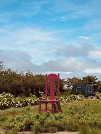 A Hidden Oasis of Coastal Calm